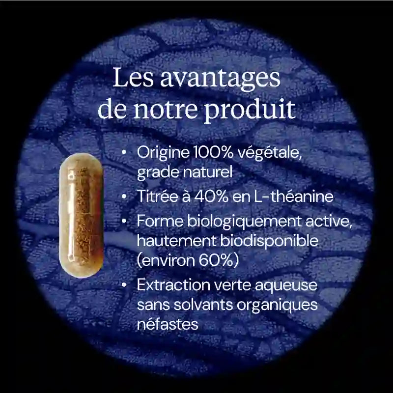 l theanine avantages