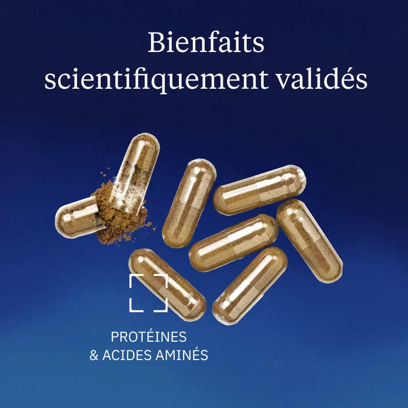 l theanine bienfaits
