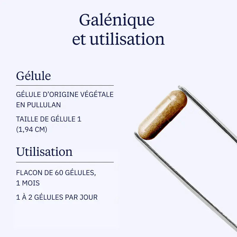 l theanine galenique