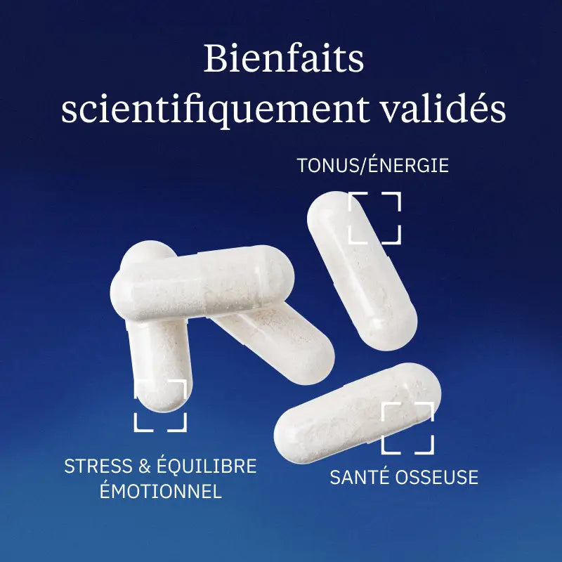 Magnésium bisglycinate chélaté - 60 gélules - vue 2